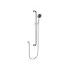 Fienza Stella Care Rail Shower