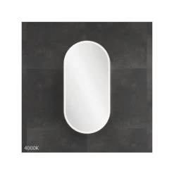 Fienza Pill LED Mirror Cabinet -Bathroom Shop PSH450PILL LED 4000k
