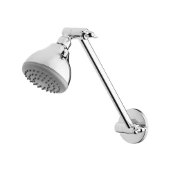 Phoenix Ivy Shower Arm & Rose