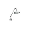 Linkware All Directional Gooseneck Shower -Bathroom Shop linkware all directional gooseneck shower Chrome